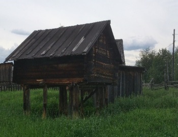 Régi fából készült tárolóépület zöld mezőn Régi, fából készült, emelt tárolóépület egy zöld mezőn, vidéki táj.