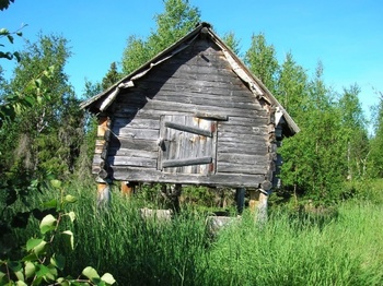 Régi, fából készült tárolóépület magasított alapon, körülötte zöld növényzet.