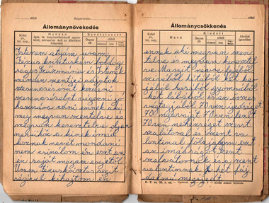 Régi kézírásos napló két oldala, állománynövekedés és csökkenés táblázatokkal, személyes megjegyzésekkel.