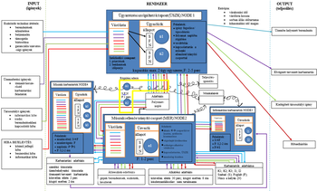 Rendszer folyamatábra: ügyintézés, műszaki és informatikai kapcsolatok Rendszer folyamatábra, bemutatva az ügyintézési szolgáltató központ, műszaki karbantartók, műszakielőirányító csoport és informatikai karbantartók közötti kapcsolatokat és feladatokat.