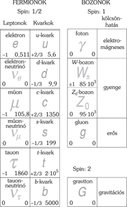 Részecskék osztályozása fermionok és bozonok csoportosításával, spin értékekkel és kölcsönhatásokkal.