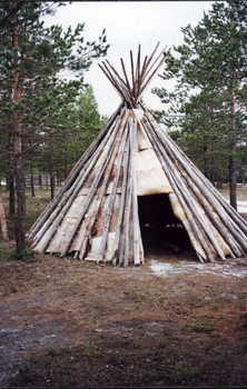 Hagyományos sámi kunyhó fából és állatbőrből Hagyományos sámi kunyhó, amely fából és állatbőrből készült, erdős környezetben.