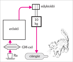 Diagram Schrödinger macskájának gondolatkísérletéről, erősítő, GM-cső, súlykioldó, ciángáz és macska látható.