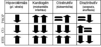 Táblázat a sokk típusok jellemzőivel: hipovolémiás, kardiogén, obstruktív, disztributív.