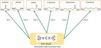 Szén-dioxid mikrobiális elektroszintézis cellában ecetsav, etanol, vajsav, n-butanol, kapronsav és n-hexanol vegyületekké alakul.