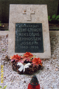 Szent-Györgyi Miklósné sírköve Szent-Györgyi Miklósné sírköve, felirattal és koszorúval, 1869-1936