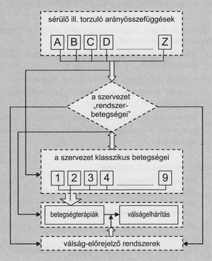 Diagram a szervezet betegségeinek és válságkezelési folyamatainak összefüggéseiről, különböző elemekkel és folyamatokkal.