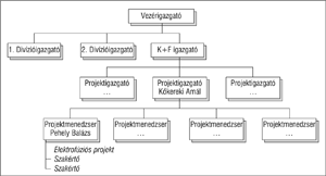 Szervezeti ábra, amely bemutatja a vezérigazgató, divízióigazgatók, K+F igazgató, projektigazgatók és projektmenedzserek hierarchiáját.