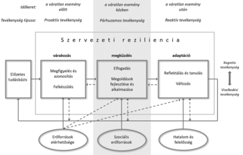 Diagram a szervezeti reziliencia folyamatáról, amely várakozás, megküzdés és adaptáció szakaszokra oszlik, különböző erőforrásokkal.