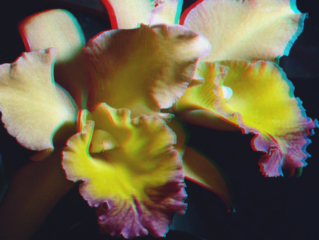 Színes orchidea virág látható, 3D hatással, sötét háttér előtt.