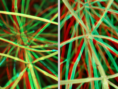 Színes, átlapolt vonalak absztrakt mintája, zöld és piros árnyalatokkal.