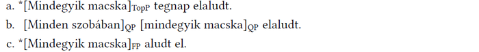 Szintaktikai pozíciók a 'mindegyik macska' kifejezéssel Három mondat, amelyek a 'mindegyik macska' kifejezés különböző szintaktikai pozícióit mutatják be: TopP, QP, FP.