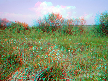 Természetes táj, amely füves területet és bokrokat ábrázol, kék ég és felhők láthatók.