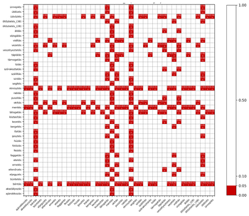 Tevékenységek közötti korrelációs mátrix Mátrix, amely különböző tevékenységek közötti korrelációkat mutat piros színnel.