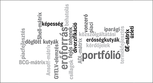 Üzleti és stratégiai kifejezések felhője Szófelhő üzleti és marketing kifejezésekkel, mint erőforrás, portfólió, diverzifikáció, és különböző mátrixok.