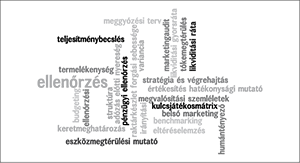 Szófelhő üzleti és pénzügyi fogalmakkal, mint ellenőrzés, teljesítménybecslés.
