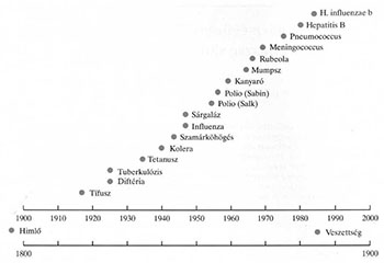 Grafikon a vakcinák kifejlesztésének idővonaláról különböző betegségek ellen, mint himlő, tífusz, tuberkulózis.