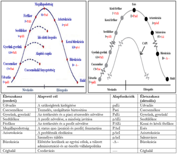 Két diagram a vállalati életciklus szakaszairól, az eredeti és aktuális célokkal és funkciókkal.
