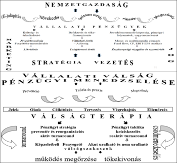 Diagram a vállalati pénzügyekről és válságmenedzsmentről, beleértve a növekedést, válságterápiát és csődmenedzselést.