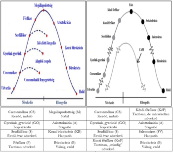 Két diagram a vállalatok életciklusáról, növekedés és előregedés fázisokkal, CAPI ponttal.