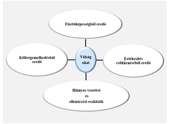 Diagram a válság okairól: fizetőképesség, költségemelkedés, értékesítés csökkenése, vezetési és ellenőrzési eszközök.