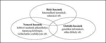 Venn-diagram, amely a helyi, nemzeti és globális hasznok közötti kapcsolatokat mutatja be.