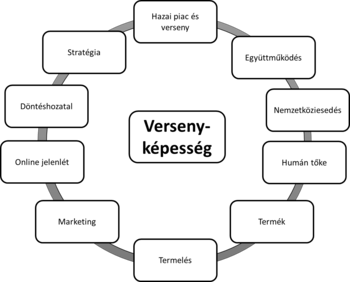 Diagram a versenyképesség aspektusairól, mint stratégia, döntéshozatal, online jelenlét, marketing, termelés, termék, humán tőke, nemzetköziesedés, együttműködés, hazai piac és verseny.