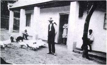 Vidéki ház udvara emberekkel és állatokkal Vidéki ház udvara, ahol emberek és állatok, köztük disznók és csirkék, láthatók.