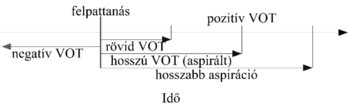 Diagram a VOT típusairól: negatív, rövid, hosszú, pozitív VOT és aspiráció időtartama.